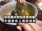 印尼潛水射殺烹食海龟 中國教练上機前被截