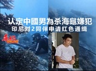 认定中國男為杀海龜嫌犯 印尼对2同伴申请红色通缉