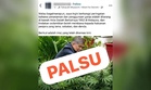 Pejabat Mat Sabu nafi imej palsu galak penjawat awam tanam ganja di rumah, sudah lapor MCMC