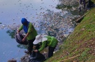 Was rainfall just a trigger? Experts raise deeper concerns over Danau Kota fish deaths