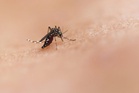 Dengue cases rise 20.7% nationwide, Sabah records sharper surge: Dzulkefly