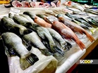 Malaysia, Thailand intensify efforts to resolve sea bass and prawn trade bans: Fisheries DG