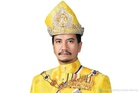 Sultan Mizan berada dalam keadaan sihat: Datuk Pengelola Seri Bijaya Diraja