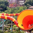 Pengasas Sunway sahkan insiden libatkan roller coaster di Sunway Lagoon, Sabtu lalu