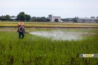 MACC probes Kedah paddy fertiliser delay scandal after PM raises alarm
