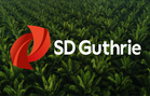 Guthrie: No evidence linking us to Indonesia fires