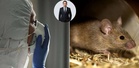 Jangan main sapu je habuk stor lama, takut terkena hantavirus yang boleh ragut nyawa. Ketahui bezanya dengan kencing tikus