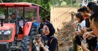 Harga murah, keriangan maksimum! Selangor Fruit Valley 1,000 hektar syurga buah, destinasi agropelancongan wajib anda terokai!