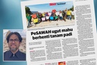 Pesawah hampir menyerah: Bila padi 'pulang modal', negara tanggung risiko
