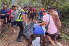 Pencari madu lebah maut jatuh pokok tualang