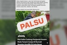 Pejabat menteri nafi sebar imej dakwa Mohamad Sabu galak tanam ganja
