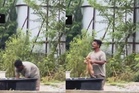 Lelaki ditahan rendam anak anjing di Shah Alam