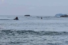 Tak sedar air pasang, wanita terkandas tengah laut