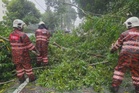 Pokok tumbang: Empat kenderaan rosak, dua laluan terhalang