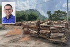 Realiti pembalakan hutan ‘cuci mangkuk’ di Kelantan - ADUN Nenggiri