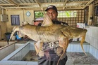 Macam dapat ‘jackpot’, empat ikan kenerak berjaya dinaikkan