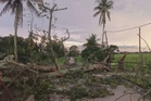 Tak sampai satu jam, 10 kes pokok tumbang akibat ribut kuat