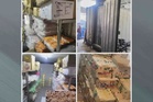 Sindiket makanan sejuk beku haram tumpas, rampasan lebih RM540,000