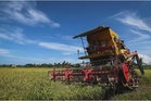 Kerajaan salur RM200 sehektar kepada pesawah, bantu teruskan pembajakan