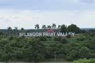 SFV sasar 150,000 pengunjung, PKPS perkukuh eksport produk agro ke pasaran global