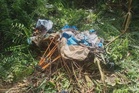 Buruh berkhemah di hutan maut diserang kumpulan gajah