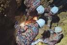 Dua lelaki maut tertimbus runtuhan tebing sungai dipercayai ketika melombong emas