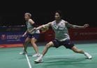 Beregu campuran negara krisis pelapis