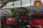 Lima kenderaan rosak dihempap pokok