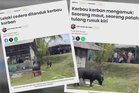 Apabila haiwan korban bertindak luar jangka