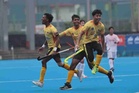 Young Tigers asah taring menjelang separuh akhir