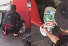 Polis buka kertas siasatan pekerja restoran aniaya kucing