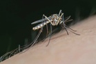 Malaria Import: Rantaian diputus, Terengganu kekal sifar kes libatkan penduduk tempatan