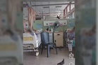 Burung merpati masuk wad: HTAR ambil langkah kawalan