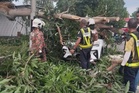 Perodua Ativa dihempap pokok tumbang