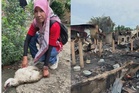 "Mereka seperti keluarga" – Wanita sedih dua kucing mati dalam kebakaran