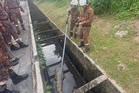 Gempar buaya terperangkap dalam longkang