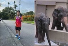 Larian solo 290km, bawa isu DAK ke Parlimen