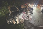 Warga China antara dua maut nahas kereta, lori durian