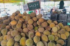 Lebihan durian di Perak, FAMA wujudkan 20 pusat pengumpulan sementara