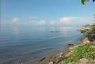 Lagi serangan buaya, lelaki dibaham ketika ambil pukat