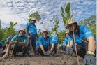 TNB perkukuh agenda ESG, tanam 25,000 pokok paya bakau