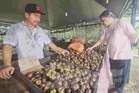 Manggis tetap laris, jualan cecah 100kg sehari