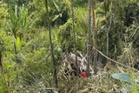 Pemandu maut lori terjunam ke dalam gaung