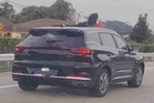 Ibu dua kanak-kanak keluar kepala melalui 'sunroof' ditahan