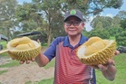 Durian premium MARDI terus jadi pilihan