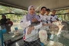 Projek ternakan arnab bantu tingkat taraf hidup asnaf