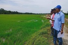 Kerajaan perlu tubuh jawatankuasa petugas khas tangani kesan El Nino ekstrem