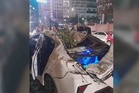 Lelaki maut dihempap pokok tumbang, tujuh sekeluarga terima rawatan di hospital