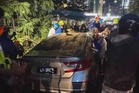 Siasatan teknikal bersama arborist kenal pasti punca pokok tumbang - DBKL
