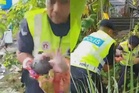 Bayi perempuan ditinggalkan di kawasan semak